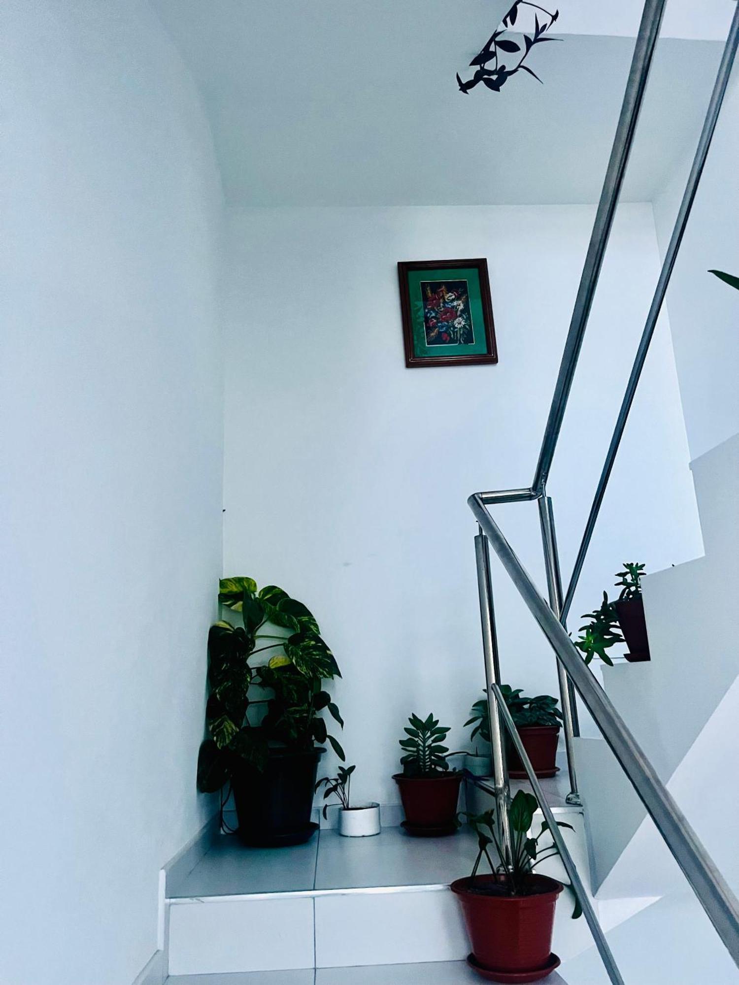 Appartement Oasis De Retour à Ponta Do Sol Extérieur photo