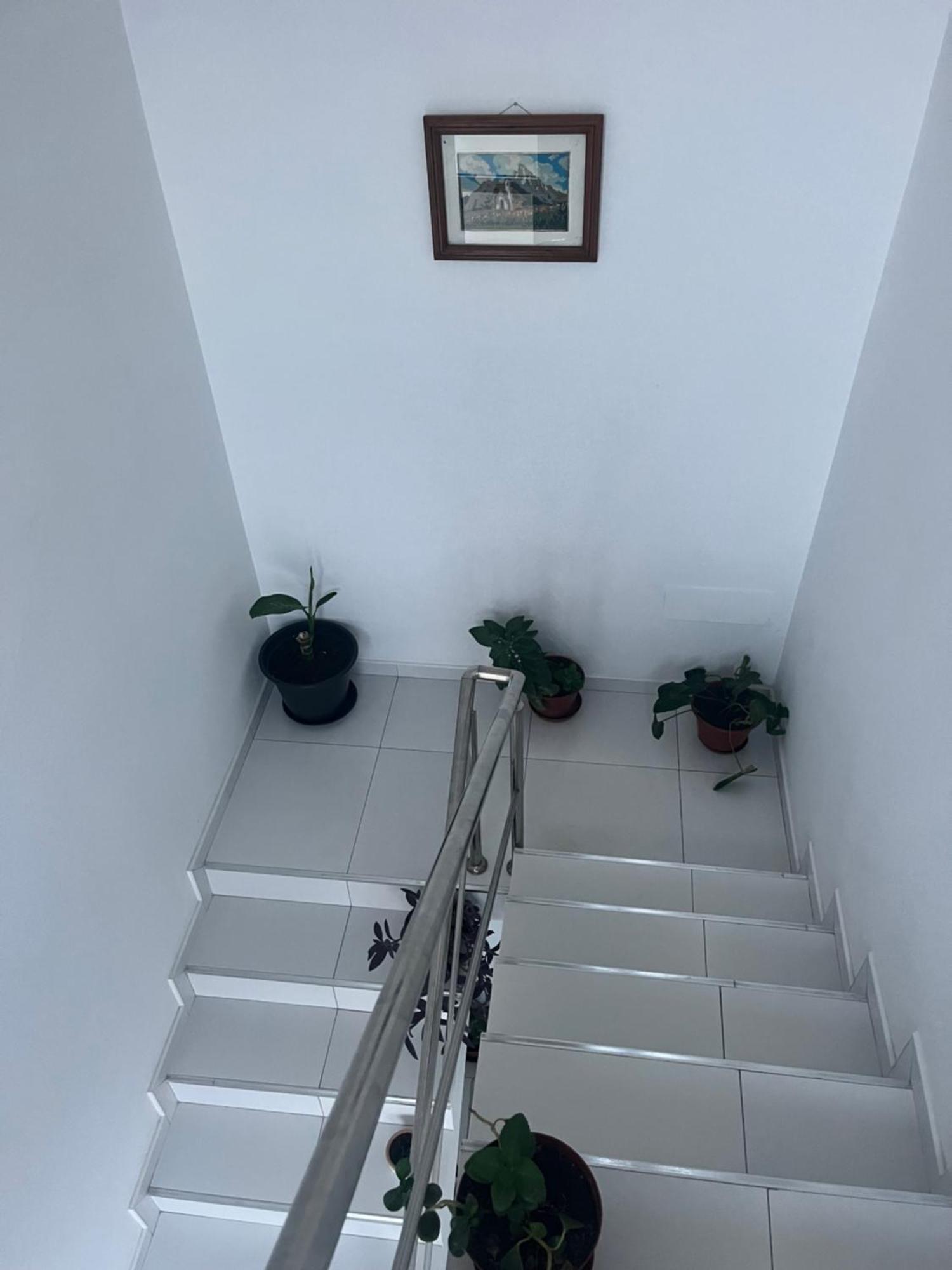 Appartement Oasis De Retour à Ponta Do Sol Extérieur photo