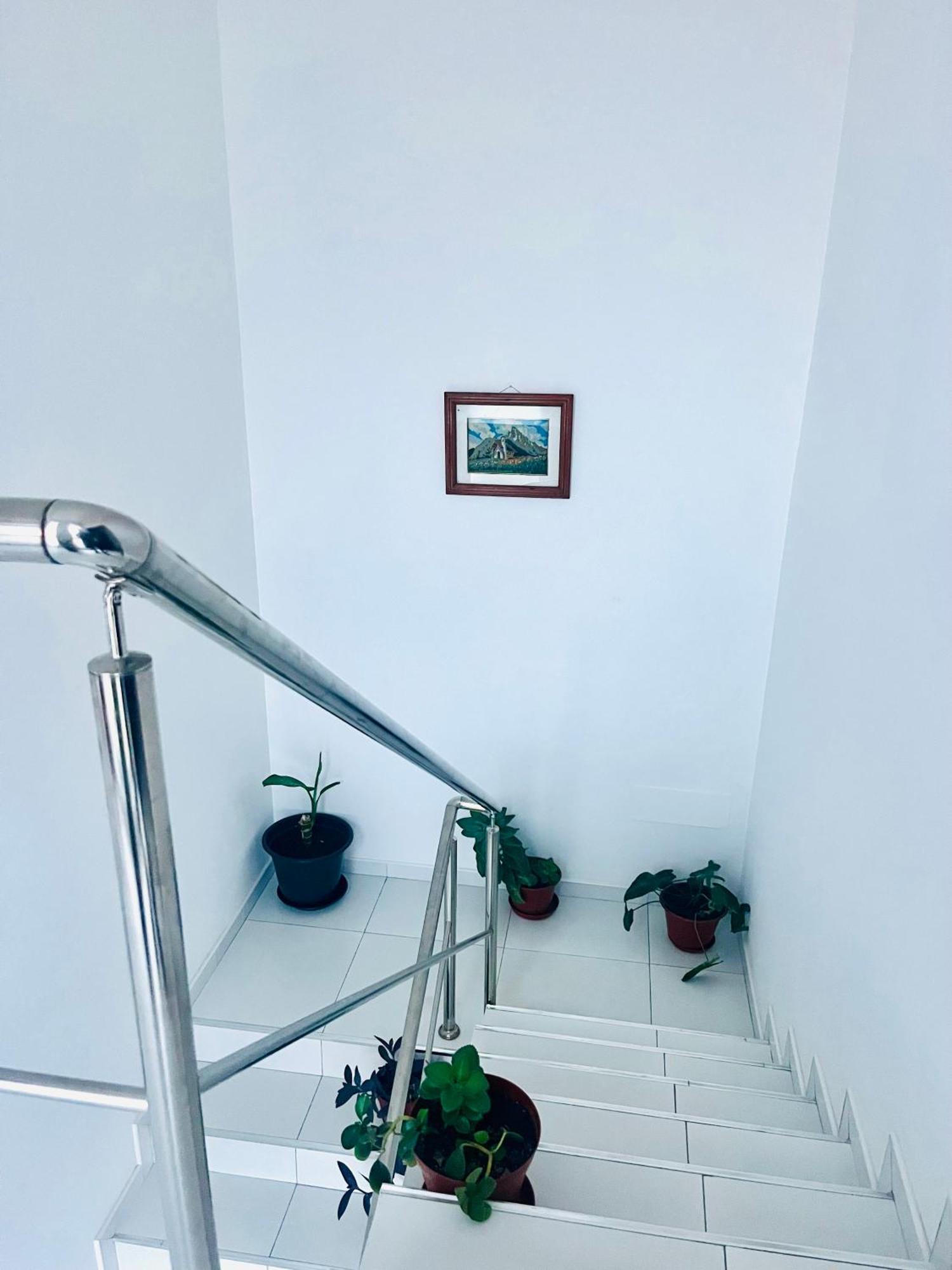 Appartement Oasis De Retour à Ponta Do Sol Extérieur photo