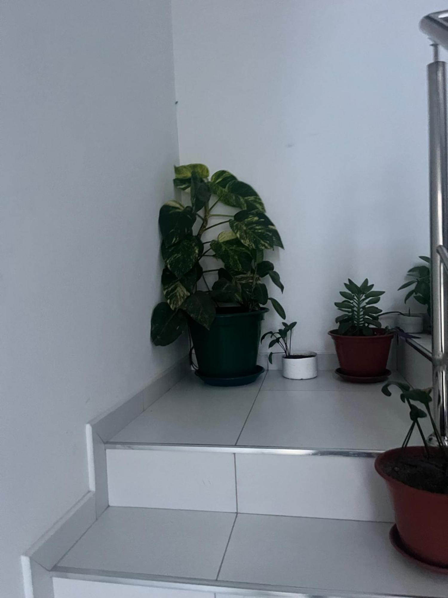 Appartement Oasis De Retour à Ponta Do Sol Extérieur photo